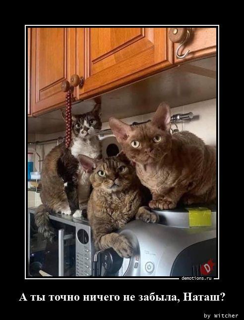 
			Демотиваторы №3762 (15 фото)