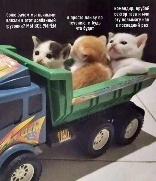 Подборка прикольных фото №3800