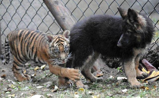 Подборка прикольных фото №3803