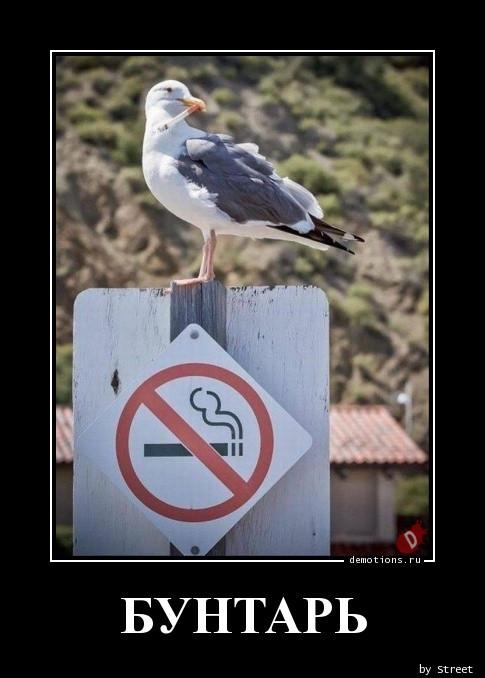 
			Демотиваторы №3746 (15 фото)