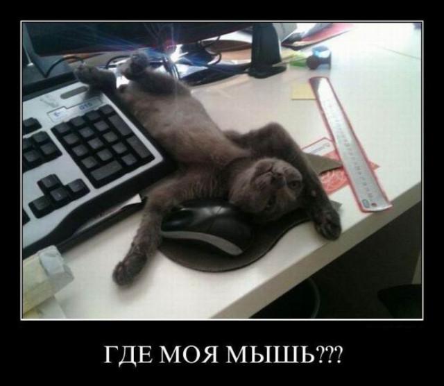 
			Демотиваторы №3752 (15 фото)