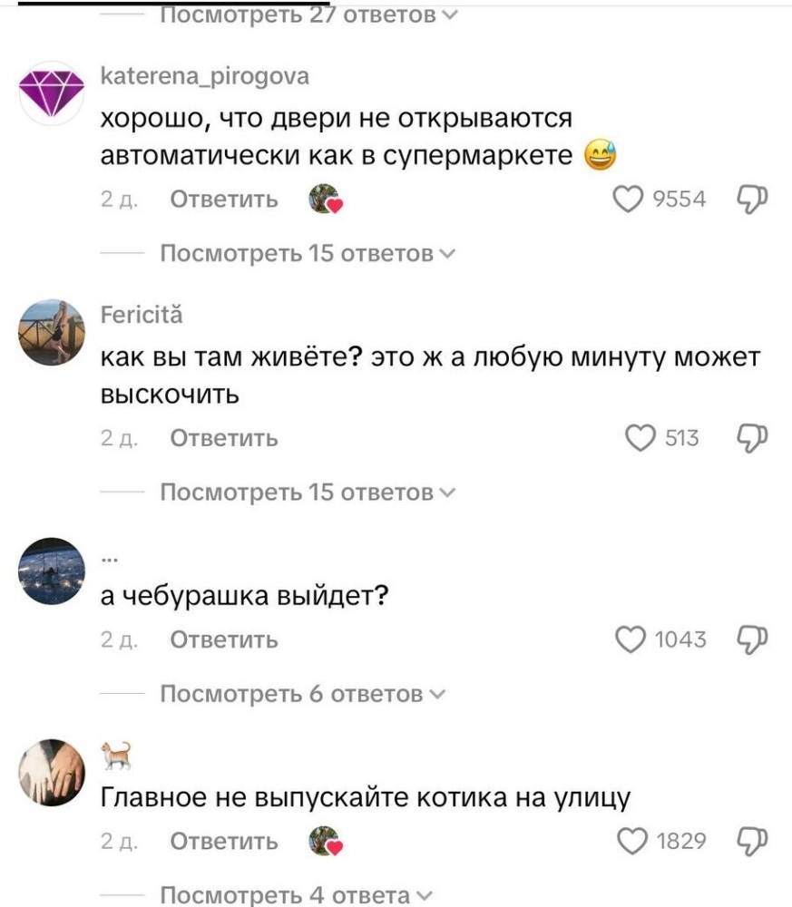 Аллигатор пришёл в гости, но хозяйка оказалась смелее
Аллигатор пришёл в гости, но хозяйка оказалась смелее