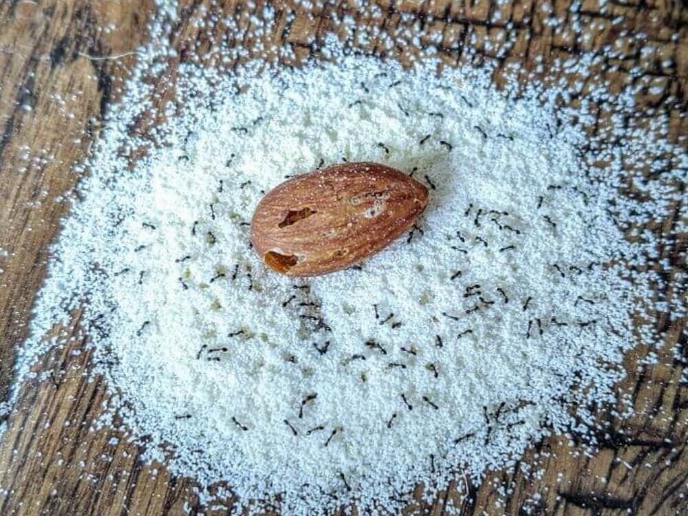 
        20&nbsp;простых и&nbsp;завораживающих чудес, которые можно встретить где&nbsp;угодно    