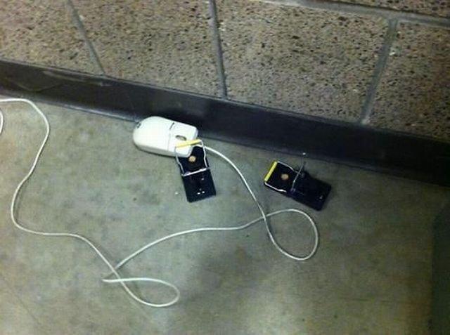 Подборка прикольных фото №3799