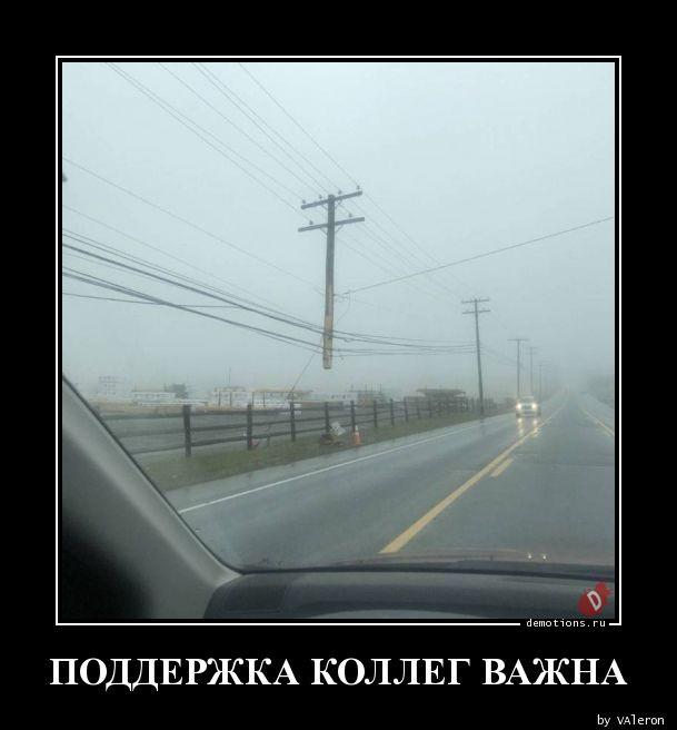 
			Демотиваторы №3754 (17 фото)