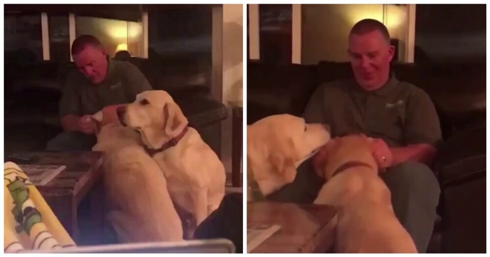 
        Хозяин притворяется, что&nbsp;лечит пса, чтобы тот&nbsp;не&nbsp;ревновал    