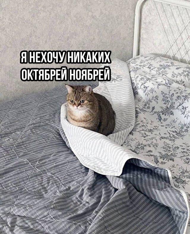 Подборка прикольных фото №3796