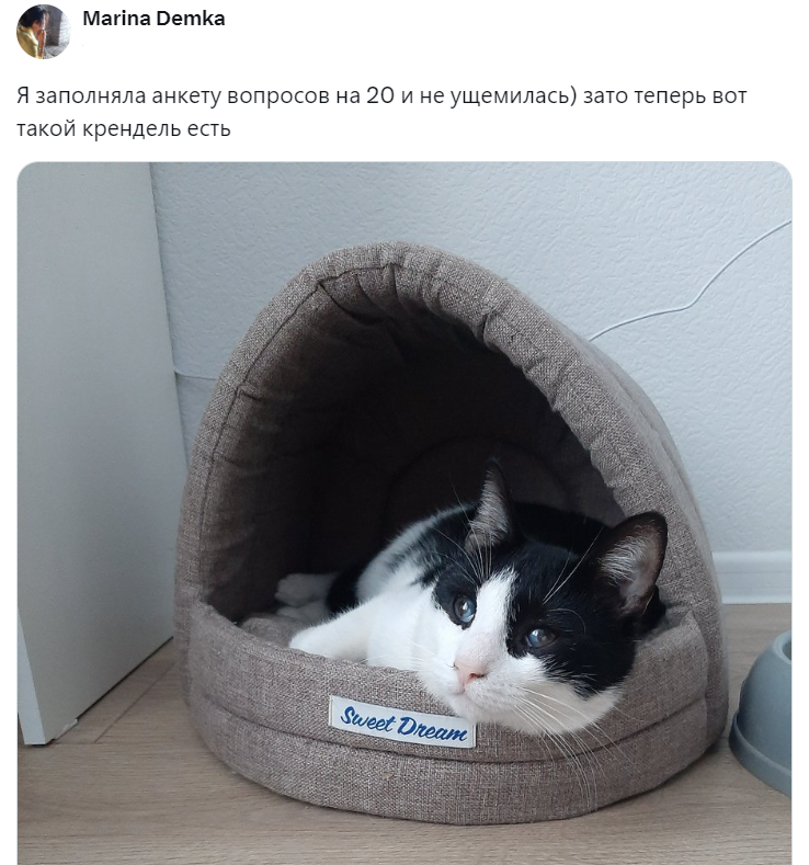 
        Подробная анкета в&nbsp;приютах для&nbsp;животных &ndash; необходимая защита или&nbsp;избыточная преграда?    