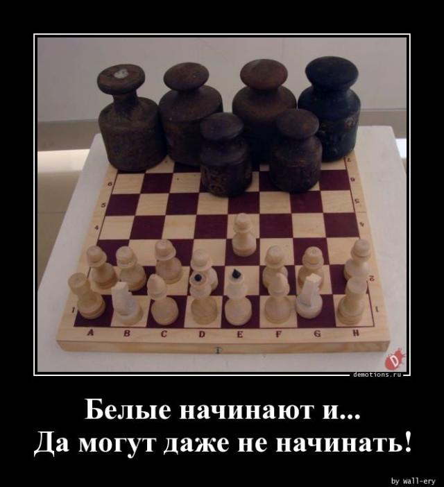 
			Демотиваторы №3744 (15 фото)