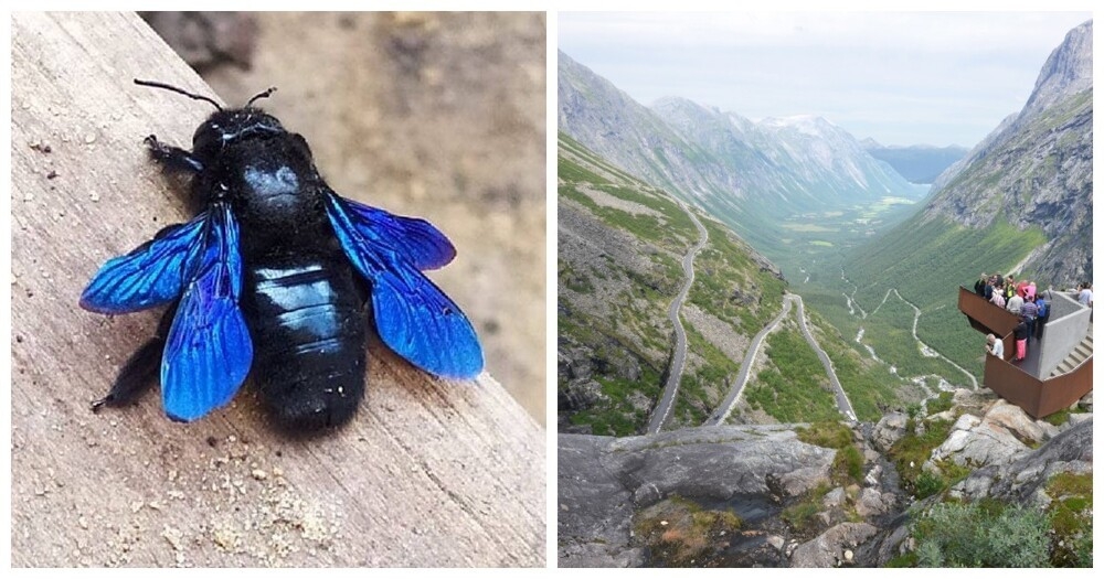 
        20&nbsp;кадров - примеров простых чудес нашего мира    