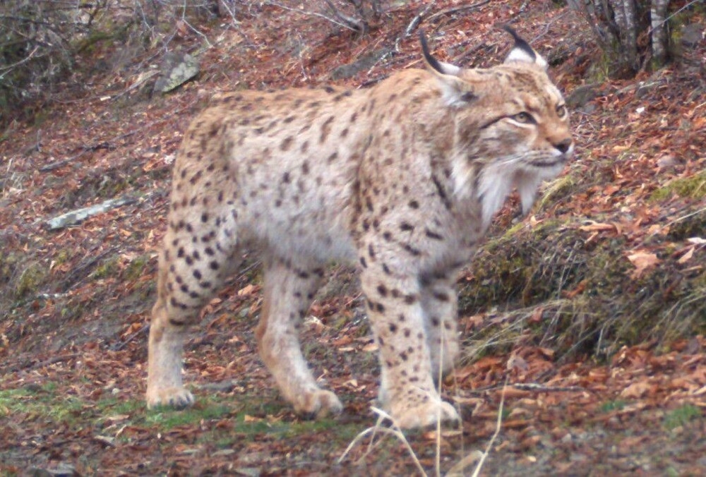 
        20&nbsp;простых и&nbsp;завораживающих чудес, которые можно встретить где&nbsp;угодно    