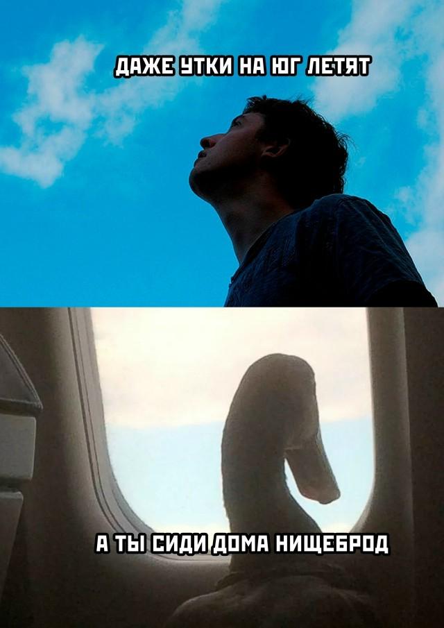 Подборка прикольных фото №3798