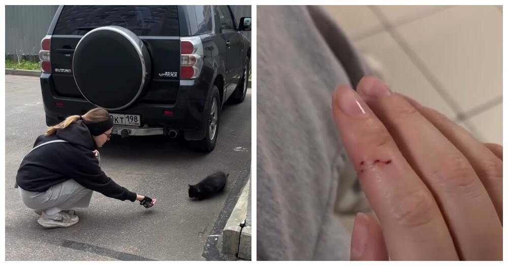 
        Девушка из&nbsp;Петербурга с&nbsp;трудом получила вакцину после укуса уличного котёнка    