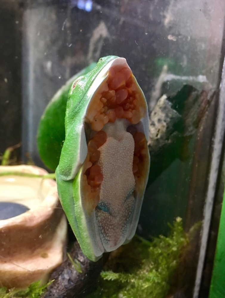 
        28&nbsp;не&nbsp;повторяющихся моментов: мир&nbsp;бывает восхитительным и&nbsp;без&nbsp;фотошопа    