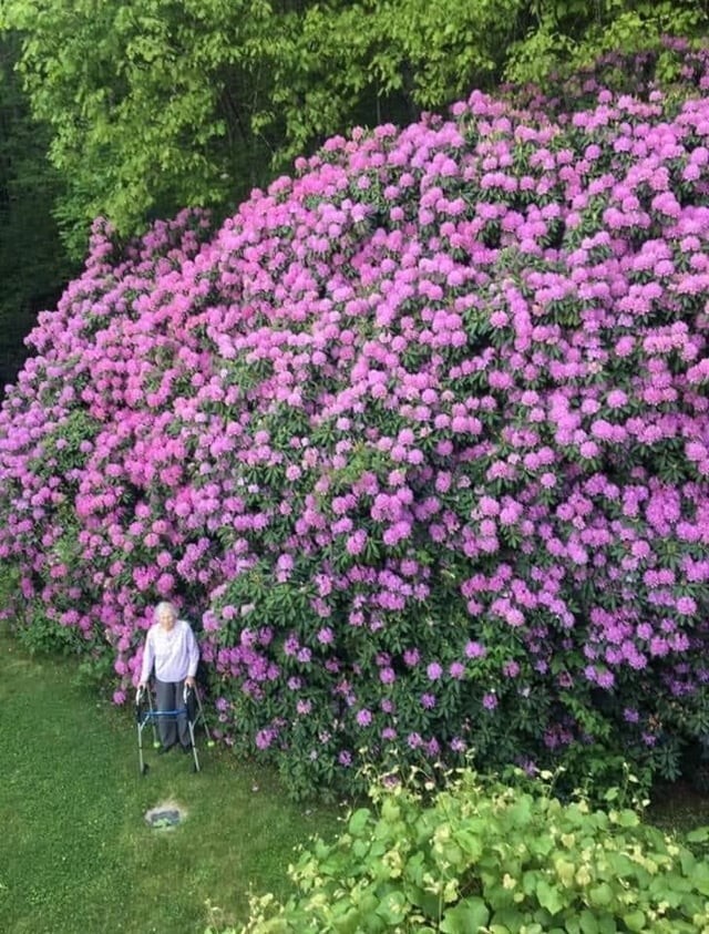 
        30 впечатляющих фотографий, показывающих реальный масштаб вещей    
