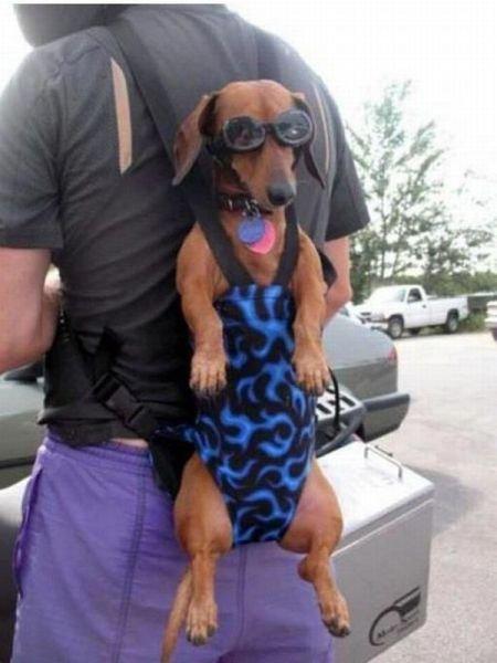 Подборка прикольных фото №3803