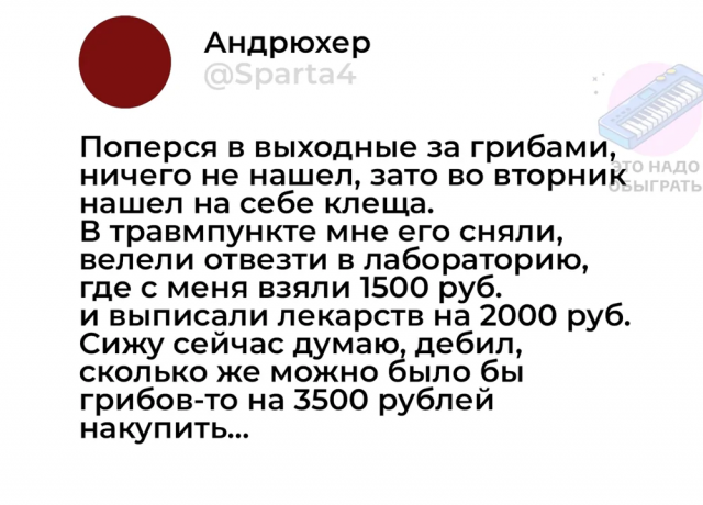 Немного грибного юмора