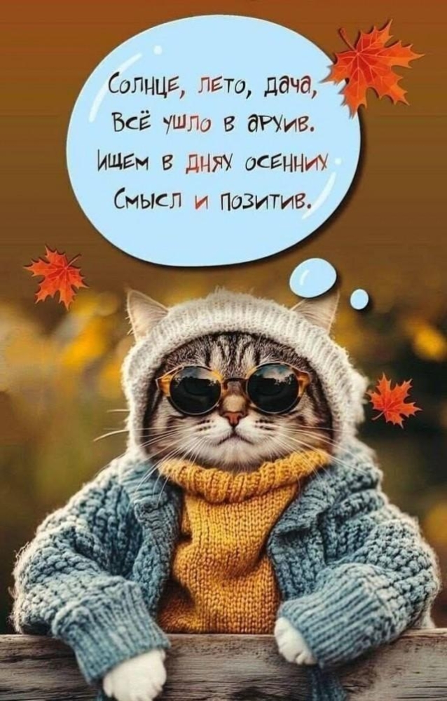 Подборка прикольных фото №3807