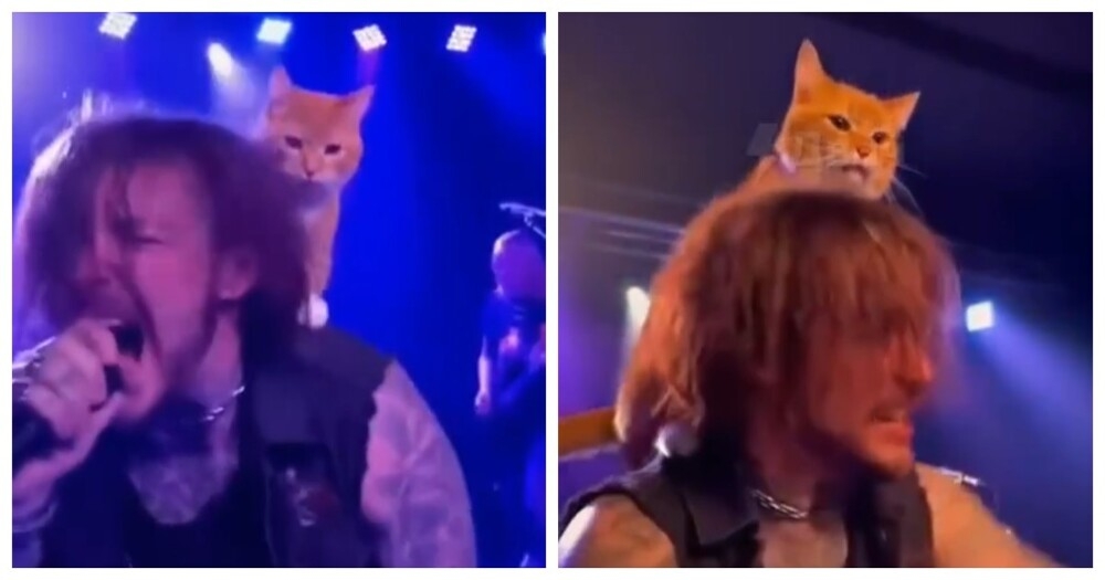 Лучший дуэт металлистов
Лучший дуэт металлистов