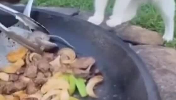 
        Комплимент от&nbsp;шеф-повара    