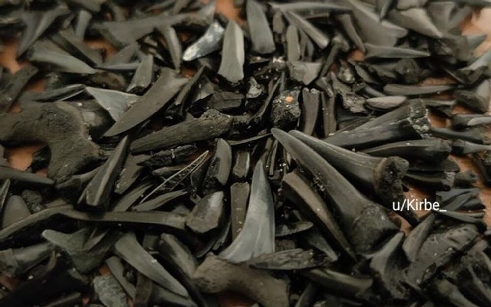 
        20&nbsp;простых и&nbsp;завораживающих чудес, которые можно встретить где&nbsp;угодно    