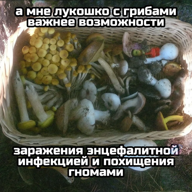 Немного грибного юмора