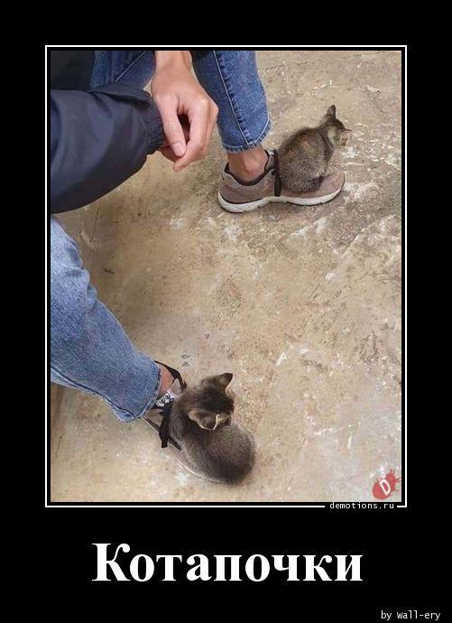 
			Демотиваторы №3761 (20 фото)