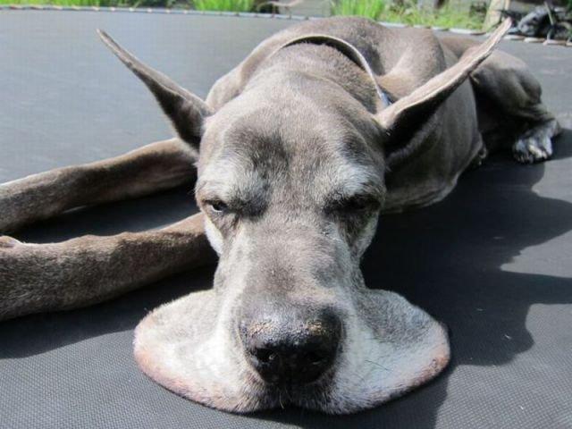 Подборка прикольных фото №3810