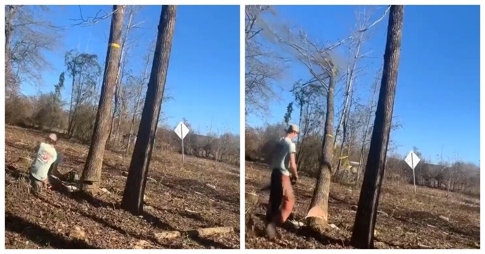 В США мужчина получил тяжёлые травмы при попытке спилить дерево
В США мужчина получил тяжёлые травмы при попытке спилить дерево