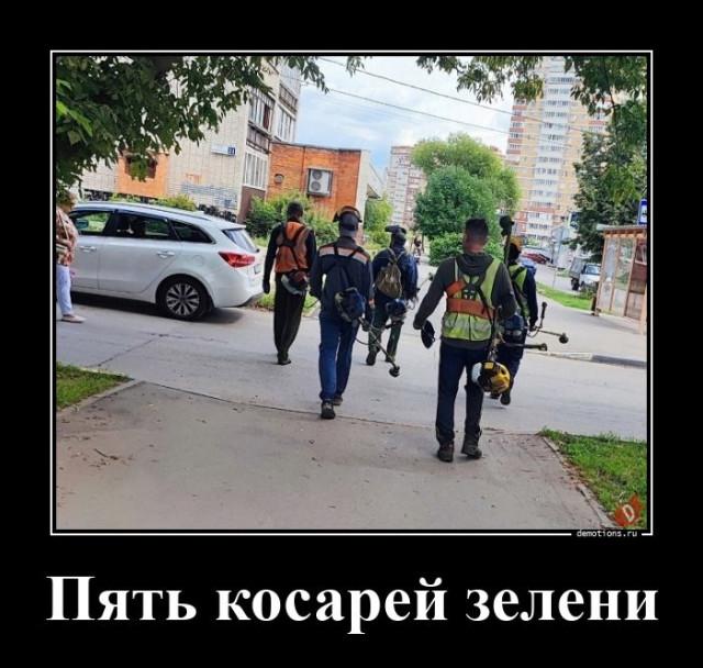 
			Демотиваторы №3752 (15 фото)