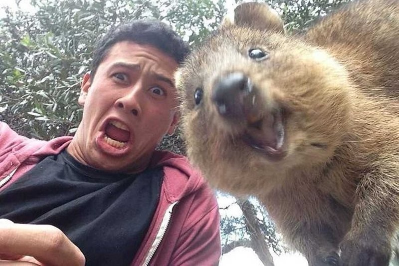 40 снимков прелестных созданий с невероятно мощной аурой позитива
40 снимков прелестных созданий с невероятно мощной аурой позитива