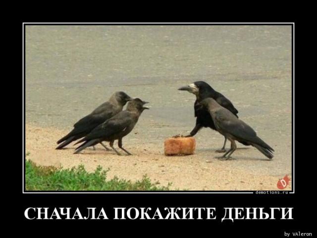 
			Демотиваторы №3749 (20 фото)