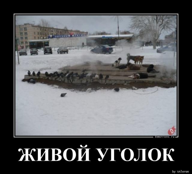 
			Демотиваторы №3745 (15 фото)