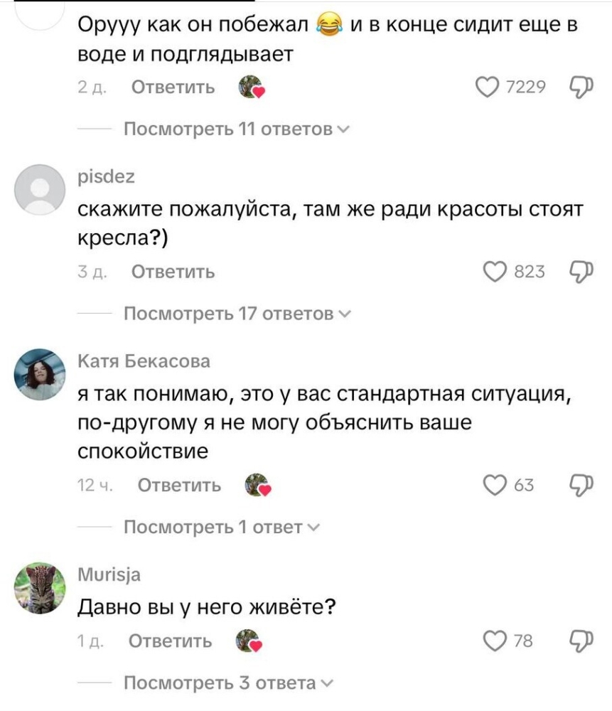 Аллигатор пришёл в гости, но хозяйка оказалась смелее
Аллигатор пришёл в гости, но хозяйка оказалась смелее