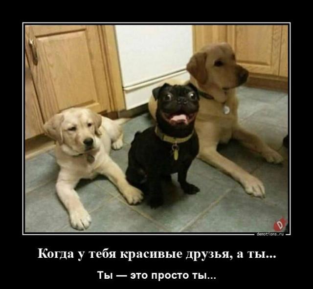 
			Демотиваторы №3750 (15 фото)