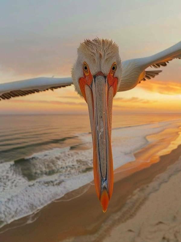 Подборка прикольных фото №3835