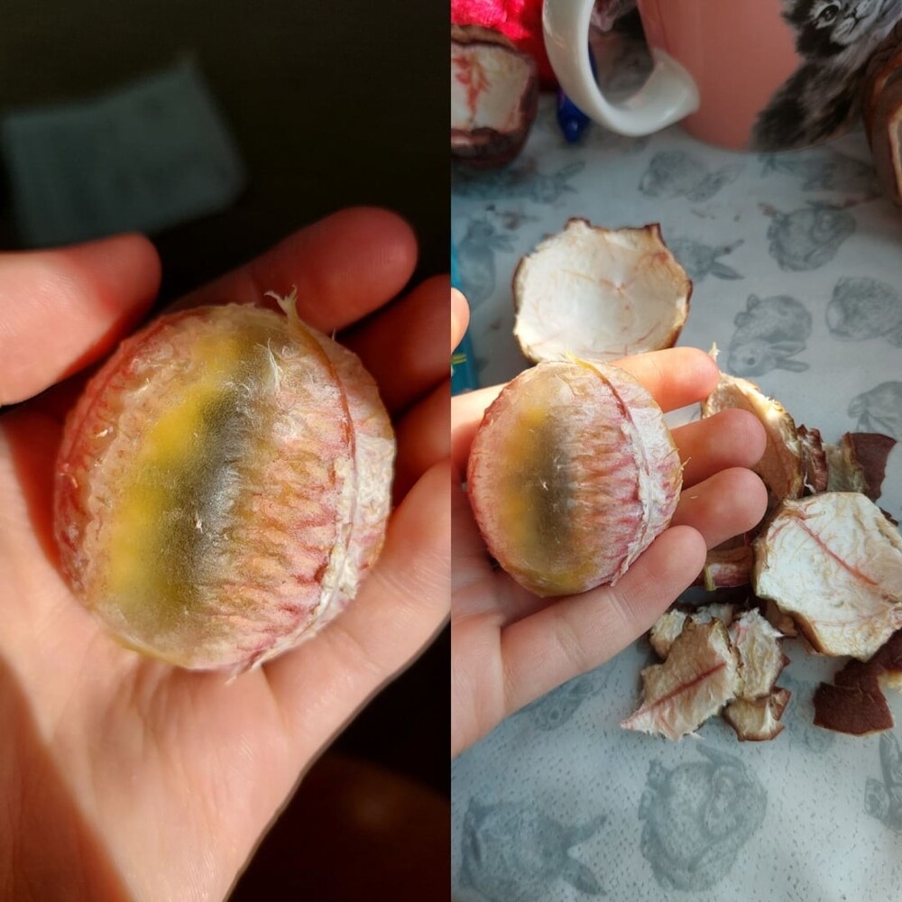 
        30&nbsp;впечатляющих снимков со&nbsp;всего света    