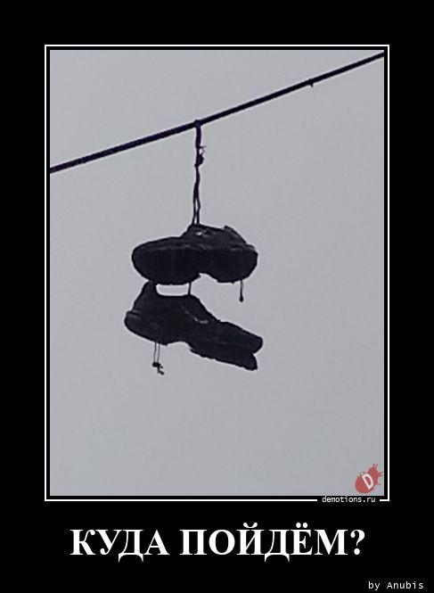 
			Демотиваторы №3763 (15 фото)