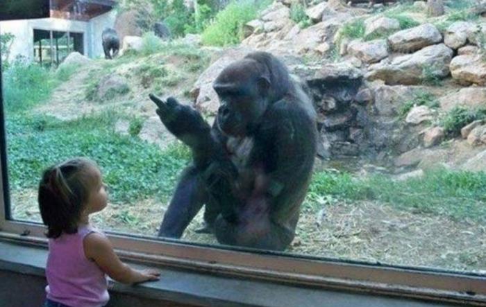 Подборка прикольных фото №3829