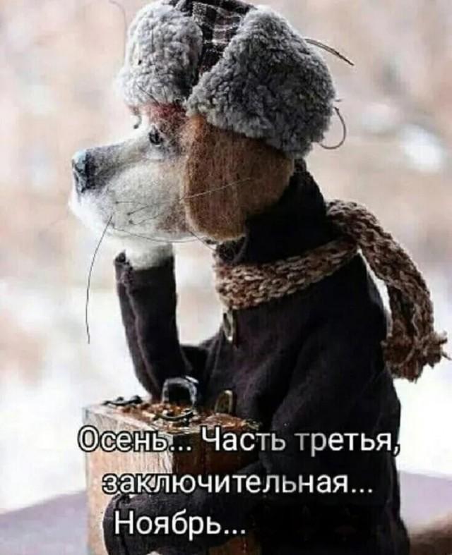 Подборка прикольных фото №3824