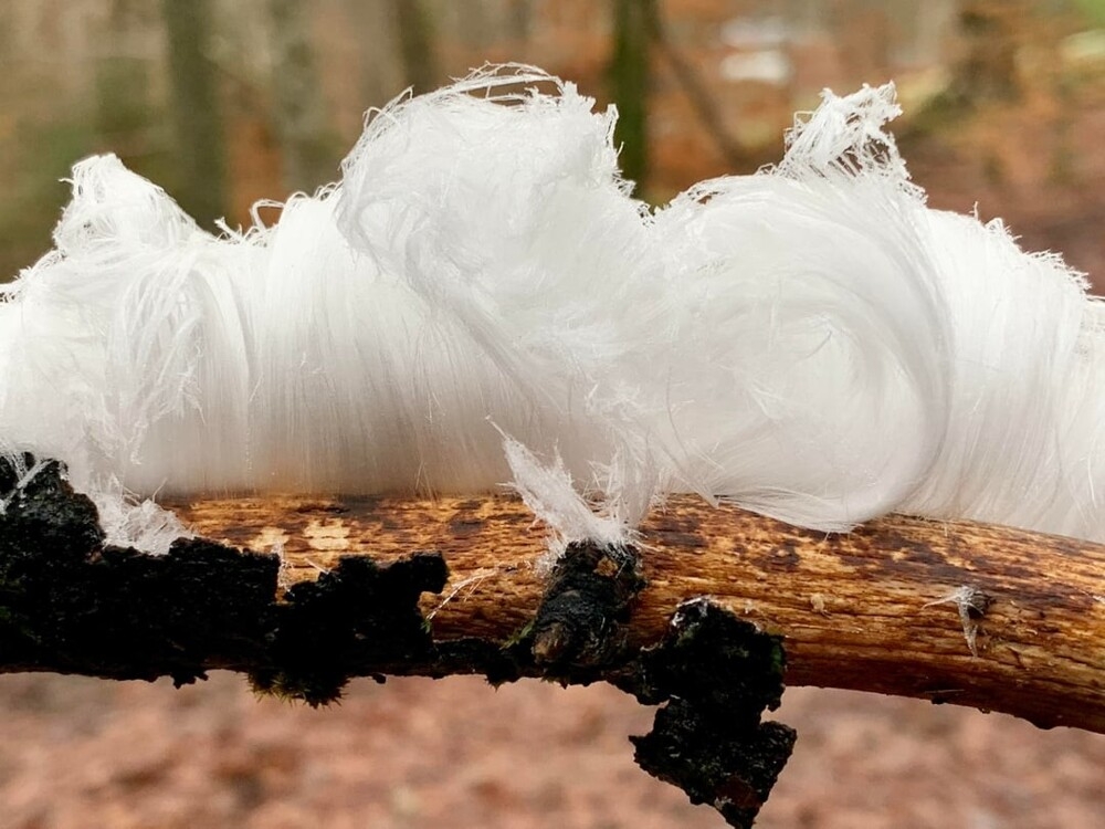 
        30&nbsp;впечатляющих снимков со&nbsp;всего света    