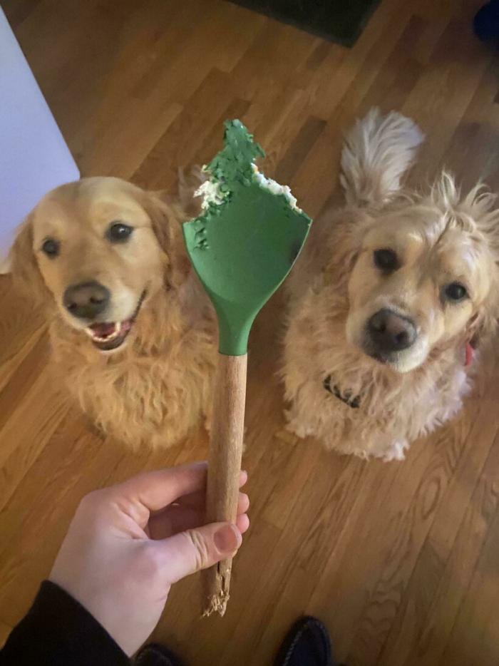 Подборка прикольных фото №3833