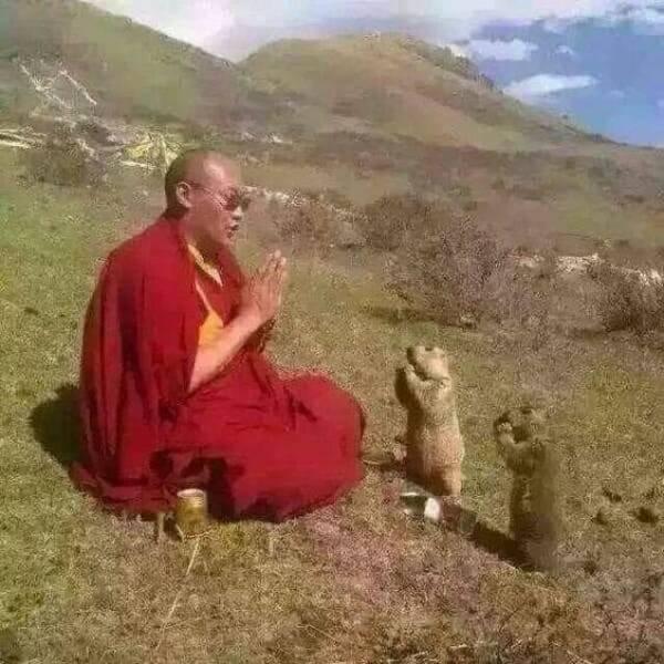 Подборка прикольных фото №3828