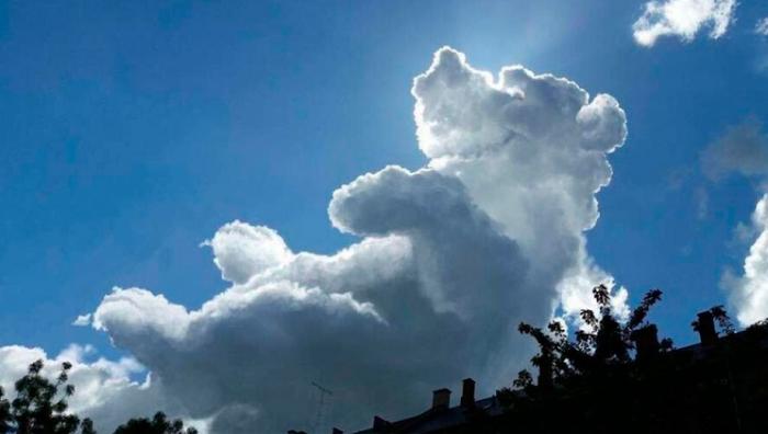 Подборка прикольных фото №3829