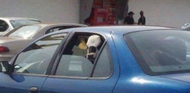 Подборка прикольных фото №3834