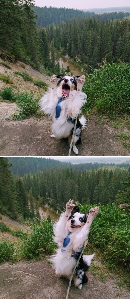 30 снимков животных для хорошего настроения
30 снимков животных для хорошего настроения