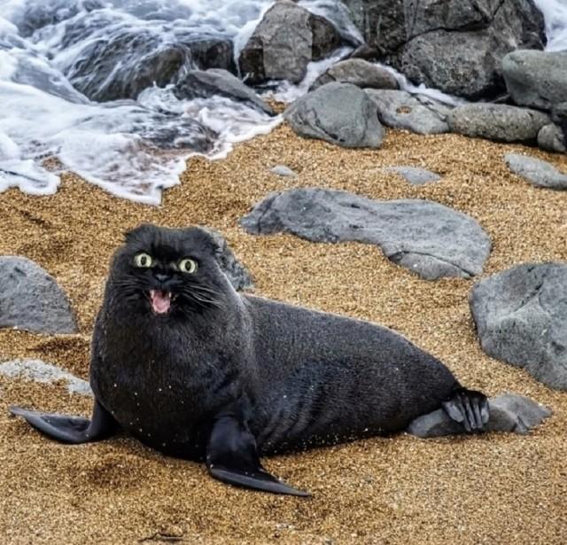 Подборка прикольных фото №3833