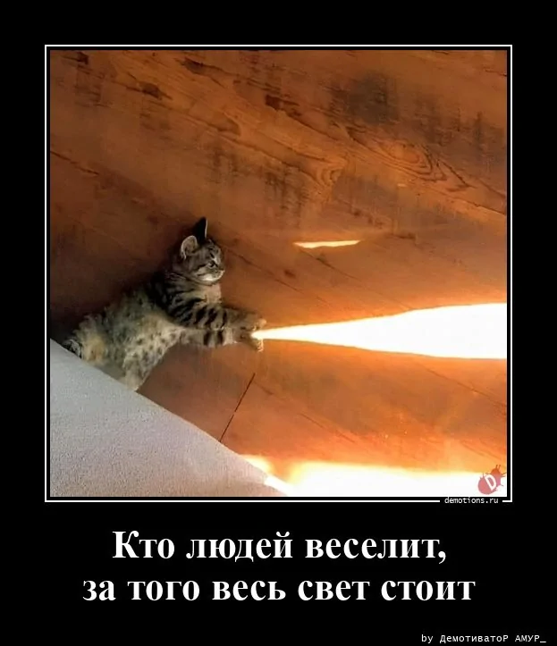 
			Демотиваторы №3773 (15 фото)