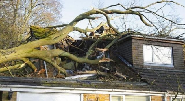 Подборка картинок. Вечерний выпуск - 27.11.2025 (30 фото)