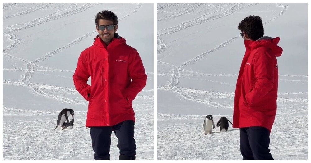 Турист хотел снять пейзаж Антарктиды, но кадр неожиданно «украли» пингвины
Турист хотел снять пейзаж Антарктиды, но кадр неожиданно «украли» пингвины